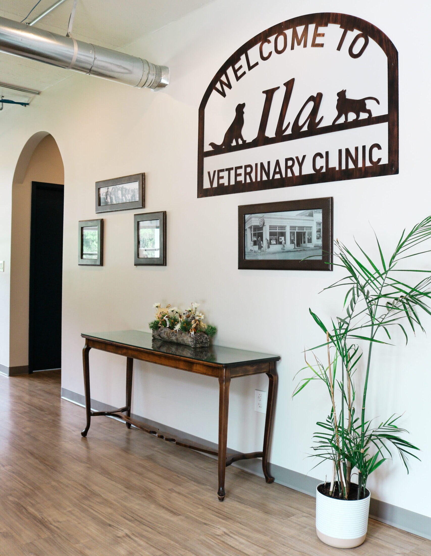 IMG_6979 (1) (1) Ila Vet clinic open in Danielsville, GA